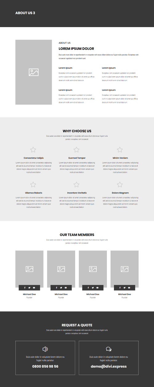 Diseño y Desarrollo Digital de páginas Web Thomas