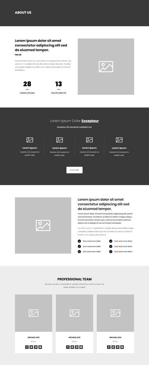 Diseño y Desarrollo Digital de páginas Web Thomas