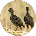 Juan U. profile picture